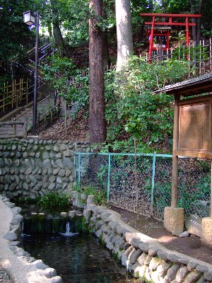 20070602_0010.jpg