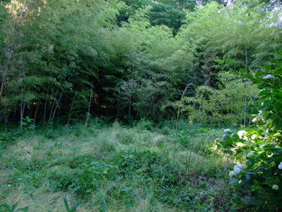 20070602_0013.jpg