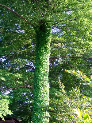 20070602_0022.jpg