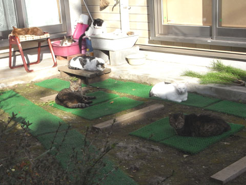 20100107_02.jpg