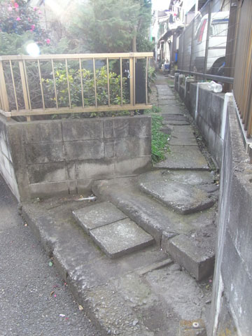 20100107_09.jpg
