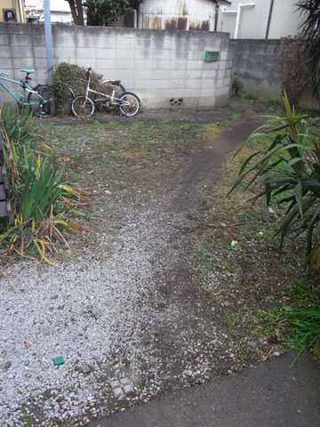 20100107_12.jpg