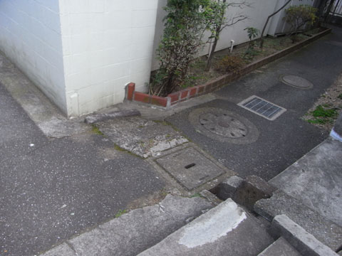 20100107_17.jpg