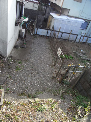 20100107_20.jpg