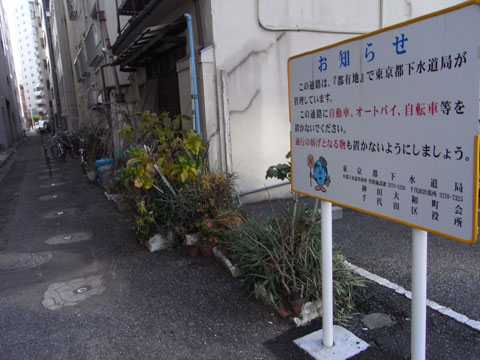 20110123_06.jpg