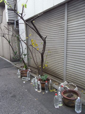 20110123_08.jpg