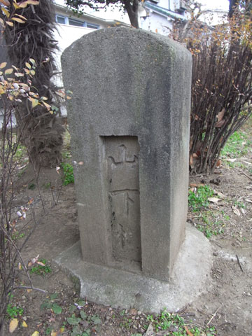20110130_02.jpg