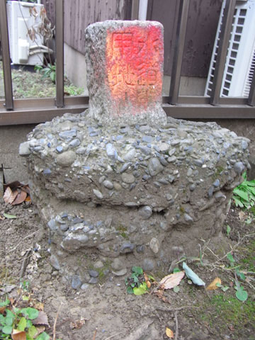 20110130_04.jpg