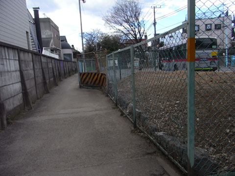 20110130_05.jpg