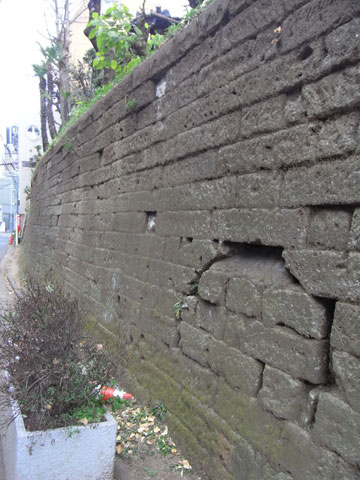 20110130_10.jpg