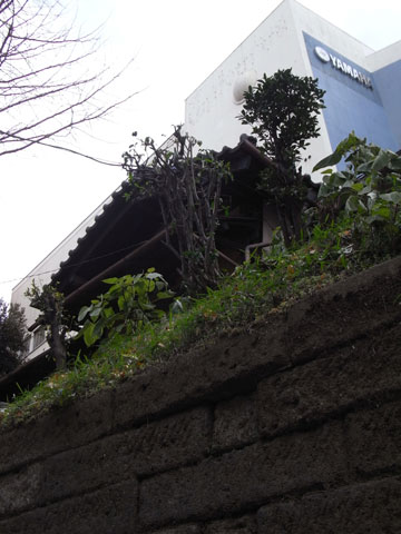 20110130_11.jpg