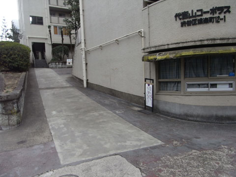 20110130_19.jpg