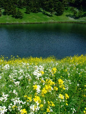 20070414_0001.jpg