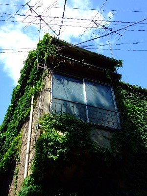 20070520_0014.jpg