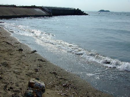20070825_045.jpg