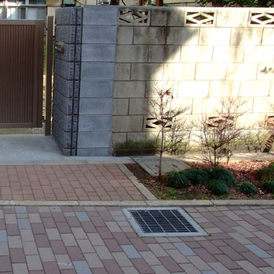 20080122_2.jpg