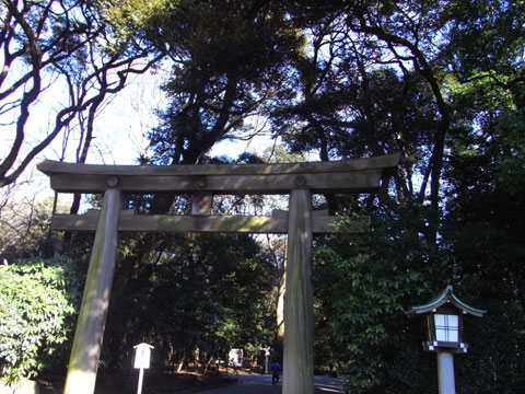 20090125_08.jpg