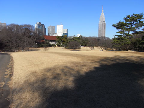 20090125_09.jpg
