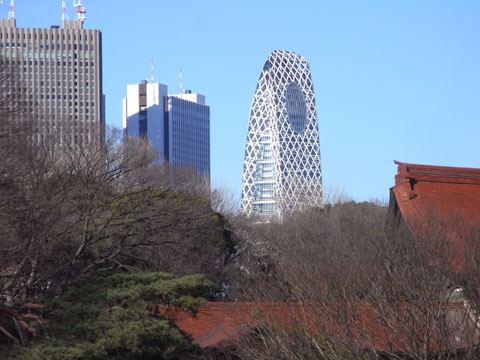 20090125_10.jpg