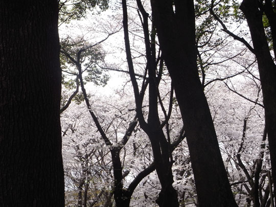 20090405_23.jpg