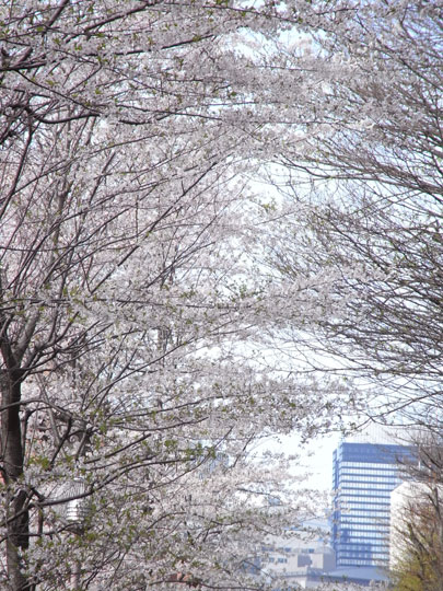 20090405_28.jpg