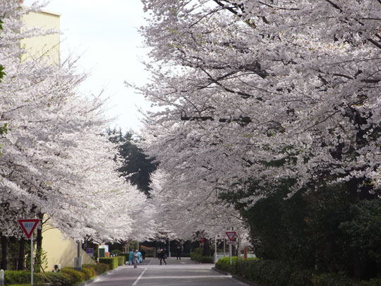 20090405_30.jpg