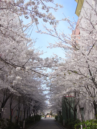 20090405_34.jpg