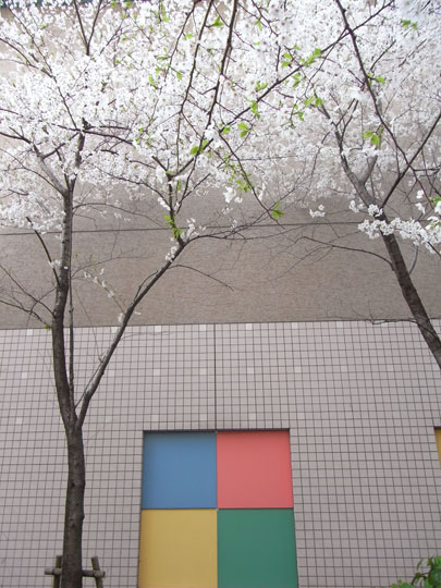 20090405_35.jpg