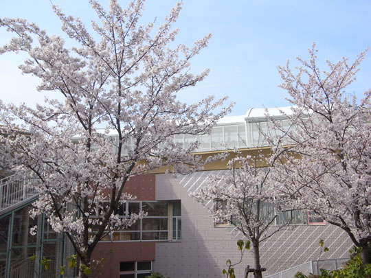 20090405_36.jpg