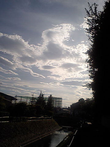 20090725.jpg