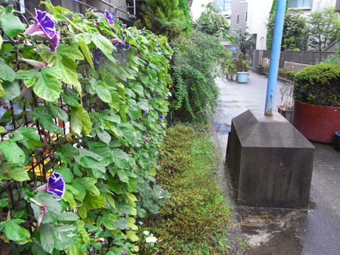 20091001_07.jpg