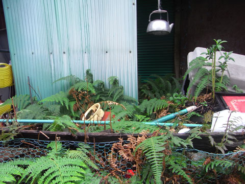 20091001_08.jpg