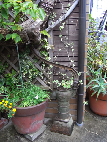 20091001_12.jpg