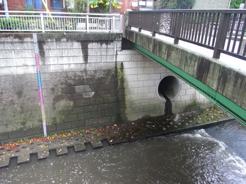 20091001_30.jpg