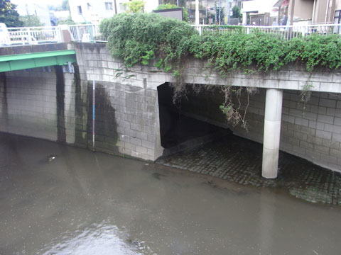 20091001_35.jpg