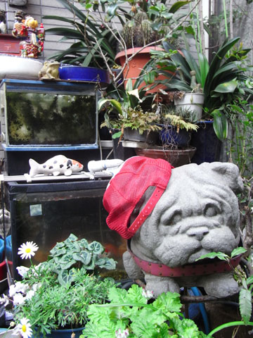 20100225_24.jpg
