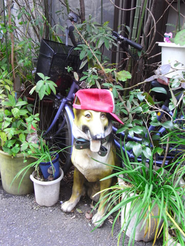20100225_25.jpg