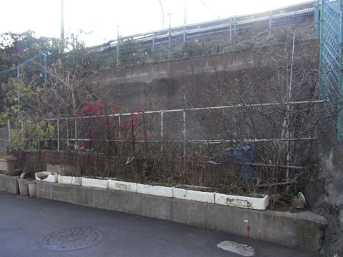 20100225_29.jpg
