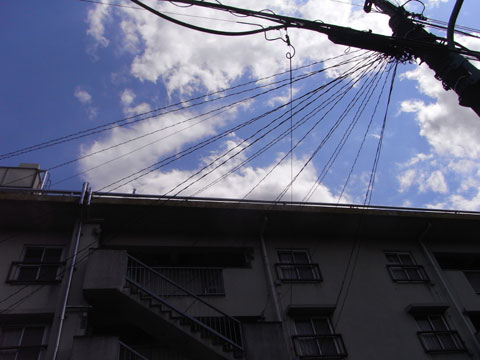 20100513_02.jpg