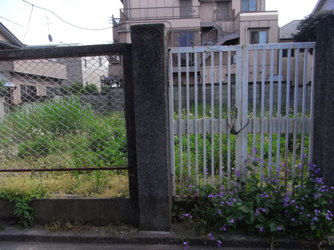 20100513_11.jpg