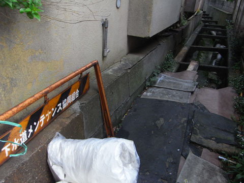 20100513_14.jpg