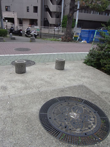 20100513_19.jpg