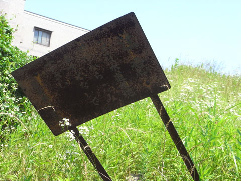 20100612_15.jpg