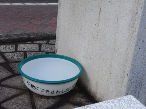 20100811_14.jpg