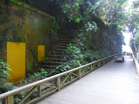 20100818_10.jpg
