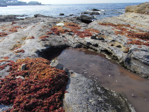 20100818_67.jpg