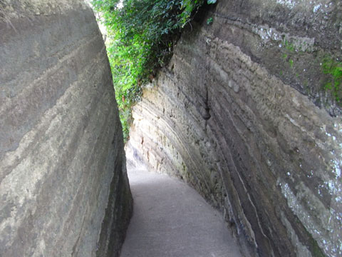 20100818_72.jpg