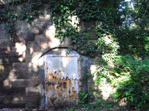 20100818_73.jpg