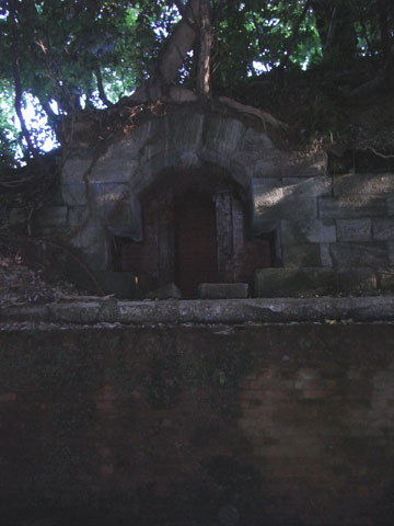 20100818_77.jpg