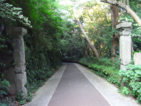 20100818_80.jpg